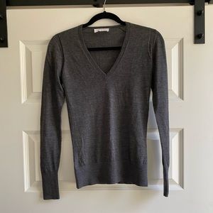 Everlane V-neck sweater